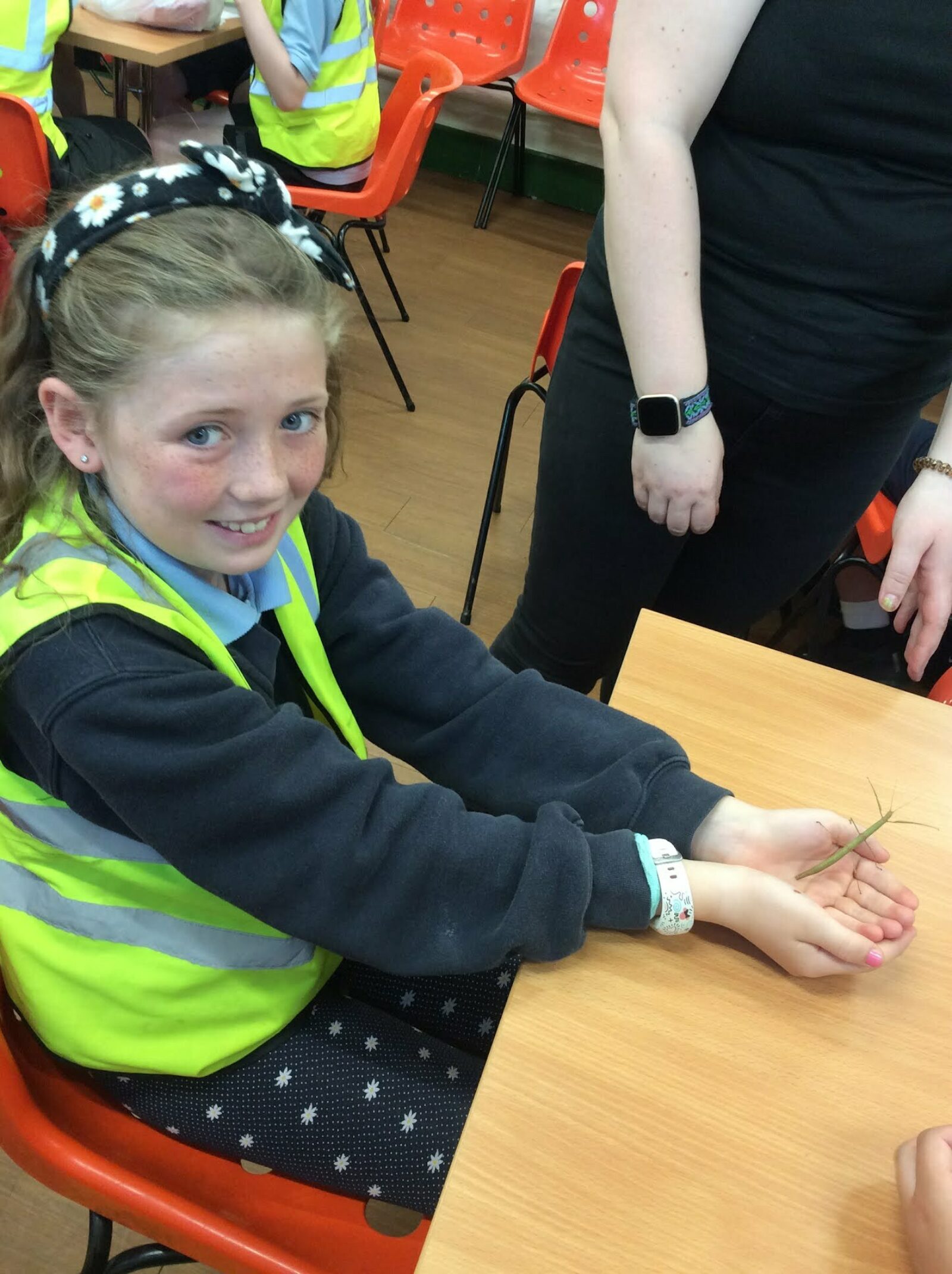 P5/6 trip to Belfast Zoo Portglenone Primary School